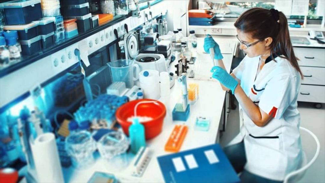 Biotechnology vs Biomedical Science vs Biomedical Engineering
